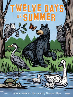cover image of Twelve Days of Summer
